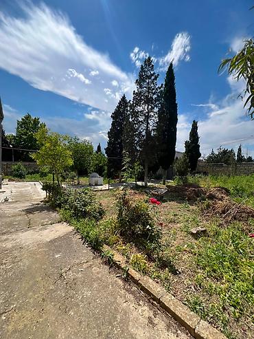 Torpaq sahələrinin satışı: 3 sot, Tikinti, Barter mümkündür, Kupça (Çıxarış) — 14