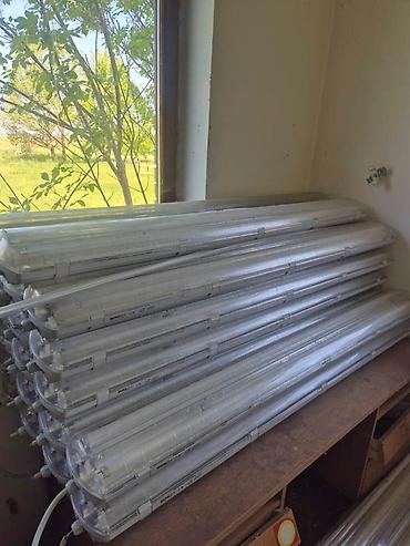 vezivanje masne: Prodajem plusnu italijansku hladnjacu velicine 23x25 m visine 6m — 2