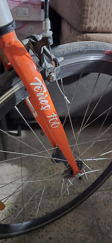 Terros Fixed Gear velosiped - Brend/model: Terros, “Fixed Gear Bikes
