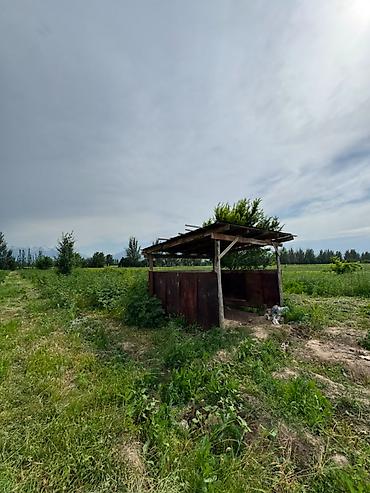 жал село: 155 соток, Для сельского хозяйства, Договор купли-продажи — 8