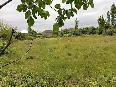 qalada torpaq satışı: Tikinti, Mülkiyyətçi, Kupça (Çıxarış) — 2