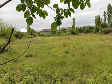 Torpaq sahələrinin satışı: Tikinti — 12