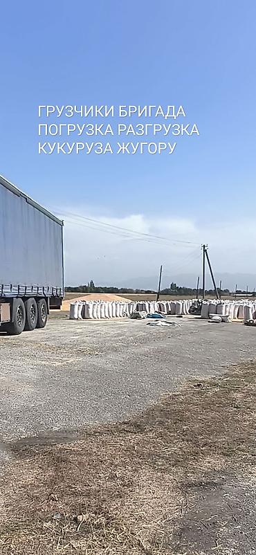 фикс токмок: Ассалому Алейкум ЖУГОРУ МУШОКТОП ЖУКТОЙБУЗ 30тоннадан Жогору Бишкек — 3