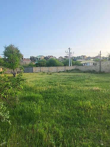 Torpaq sahələrinin satışı: Tikinti — 1