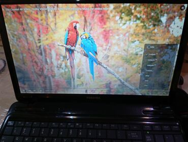 Toshiba: Toshiba, 15.6 ", Intel Core i3, 256 GB — 3