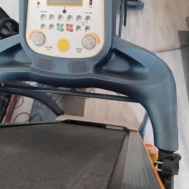 Беговые дорожки: Беговые дорожки электрические от пятнадцати тысяч и выше . Есть — 3