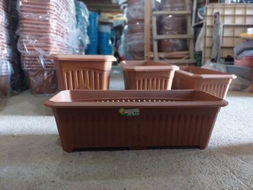 Bitkilər üçün dibçəklər: Dipcekler (Gül dipçekleri) gul qabilar dipcekler ferqli çesidler -da lalafo.az — 8 Bitkilər üçün dibçəklər: Dipcekler (Gül dipçekleri) gul qabilar dipcekler ferqli çesidler — 8