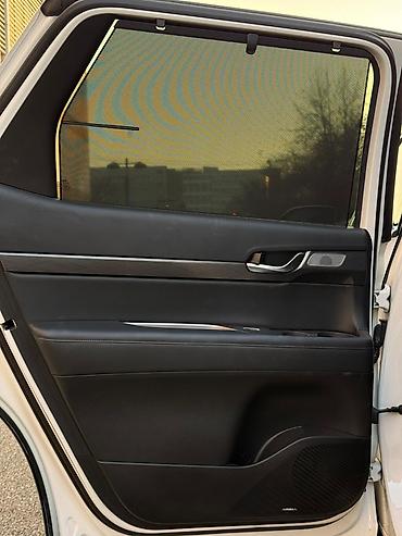 Hyundai: Hyundai Palisade: 2020 г., 2.2 л, Автомат, Дизель, Кроссовер — 17