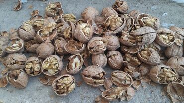 Дом и сад: Грецкий орехи продам оптом