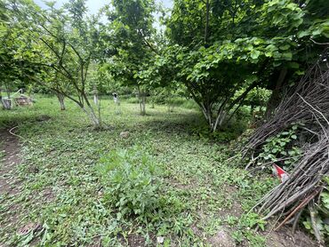 Torpaq sahələrinin satışı: 7 sot, Tikinti, Mülkiyyətçi, Kupça (Çıxarış) -da lalafo.az — 10 Torpaq sahələrinin satışı: 7 sot, Tikinti, Mülkiyyətçi, Kupça (Çıxarış) — 10