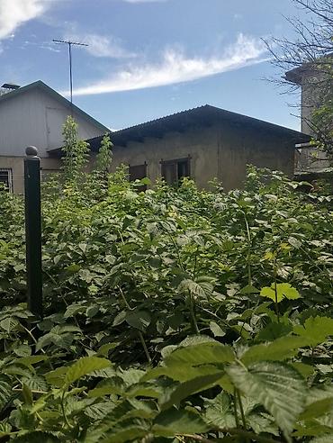 Продажа участков: 7 соток, Красная книга, Тех паспорт, Договор дарения at lalafo.kg — 6 Продажа участков: 7 соток, Красная книга, Тех паспорт, Договор дарения — 6