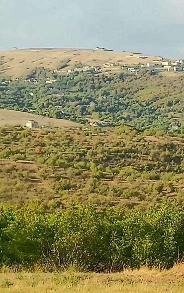 Daşınmaz əmlak: 1100 sot, Tikinti, Maklerlər narahat etməsin, Kupça (Çıxarış) — 10