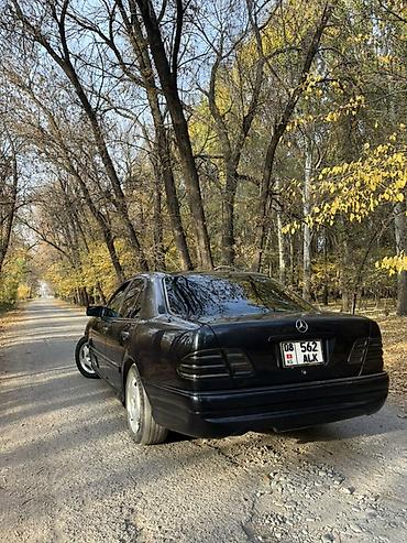 стекло мерседес 210: Mercedes-Benz E-Class: 1996 г., 3.2 л, Автомат, Бензин, Седан — 7