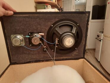 Zvučnici i stereo sistemi: Fisher zvucnik Ispravan. Visina oko 50 cm. Sirina oko 32 cm