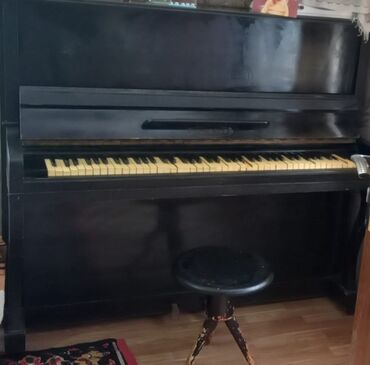 piano dersleri: Piano, Belarus, Akustik, İşlənmiş, Ünvandan götürmə