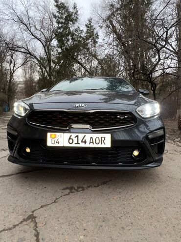 Kia: Kia K3: 2019 г., 1.6 л, Автомат, Бензин, Хэтчбэк — 8