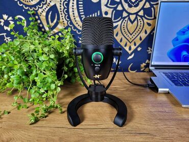 Студийные микрофоны: Микрофон NEAT Bumblebee II - профессиональный конденсаторный — 2