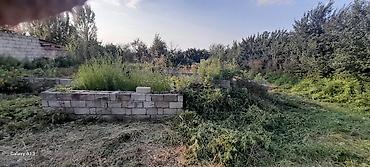 xırdalan torpaq satışı: 6 sot, Tikinti, Mülkiyyətçi, Kupça (Çıxarış) — 2
