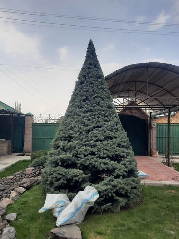 беседки на заказ: Стрижка Туи, Ёлокобрезка кустов Посев газона под ключ Ландшафтный