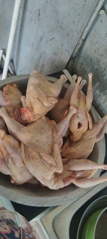 Готовые блюда, кулинария: Təmizlənmiş bütöv ev toyuqları - Şəkildə gördüyünüz kimi, lələyindən