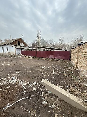 ысык куле: 5 соток, Бизнес үчүн, Кызыл китеп — 7
