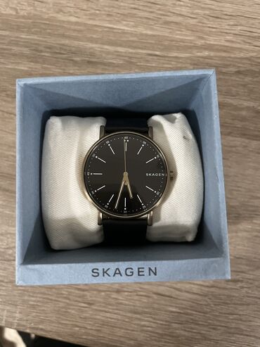 ми банд часы: Классические часы, Skagen, Мужские, Новый