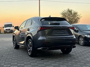 alba: Lexus NX: 2020 г., 0.2 л, Автомат, Бензин, Внедорожник — 6