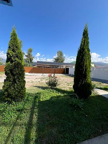 premium development: Сдаются просторные и светлые коттеджи: 4 -мест, 2 мест для семейного — 6