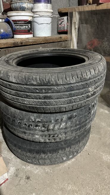 24545 r19 лето: Шины