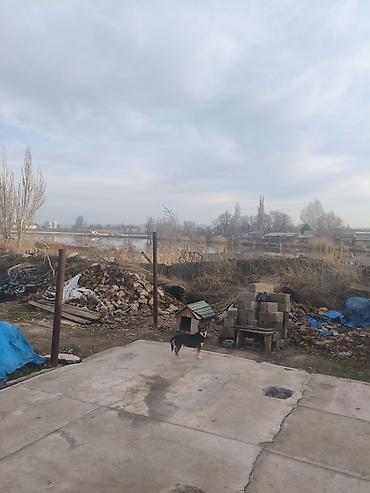 Продажа барачных домов: Продается дом две спальни,залбольшая кухня,сан узел и две прихожки at lalafo.kg — 16 Продажа барачных домов: Продается дом две спальни,залбольшая кухня,сан узел и две прихожки — 16