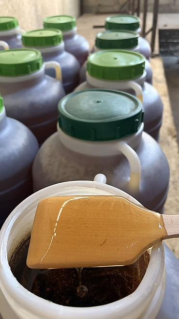 Мёд: Натуральный мёд в канистрах - Продукт: настоящий пчелиный мёд, густой — 3