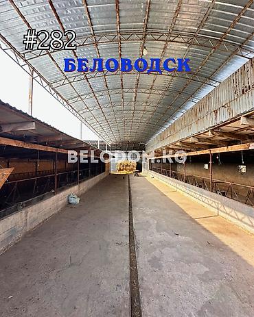 5 комнат, 100 м², 20 соток, Беловодское, Агентство недвижимости