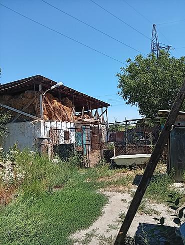 меняю на скот: Продаю 2 дома по 8 соток.район чекиш ата. можно отдельно. 1 дом с — 8