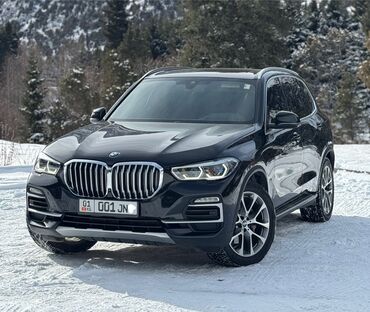 кара шина: BMW X5: 2019 г., 3 л, Автомат, Бензин, Кроссовер