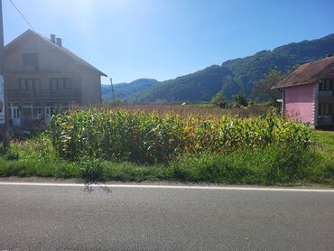 kuce i vikendice u okolini sapca: 32 ares, Poljoprivredno zemljište, Vlasnik