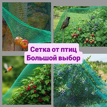 Защитные сетки от птиц, Самовывоз, Платная доставка