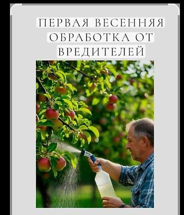 Опрыскиватели: Опрыскиватель Ранцевый — 3