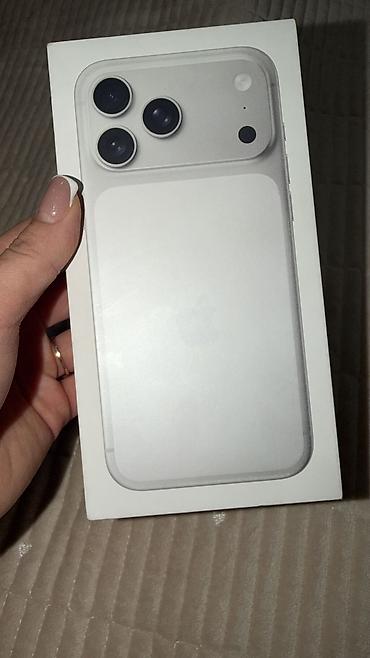 IPhone 17 Pro Max, Б/у, 256 ГБ, Серебристый, Защитное стекло, Чехол, Кабель, 100 %