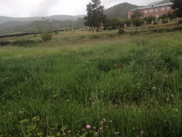 Torpaq sahələrinin satışı: 35 sot, Kupça (Çıxarış) — 18