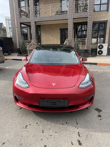 Tesla: Tesla Model 3: 2019 г., 5.5 л, Автомат, Электромобиль, Седан — 16