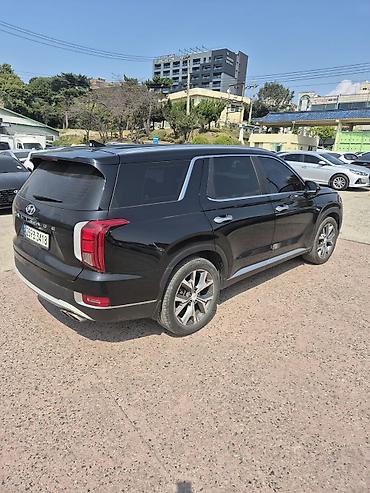 полисай: Hyundai Palisade: 2020 г., 2.2 л, Автомат, Дизель, Внедорожник — 5