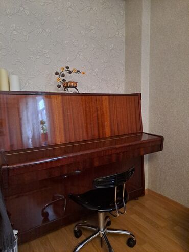 İdman və hobbi: Belarus piano 250 manat