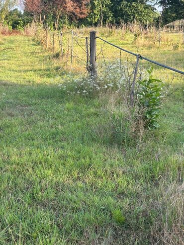 Torpaq sahələrinin satışı: 80 sot, Kənd təsərrüfatı, Mülkiyyətçi, Kupça (Çıxarış), Müqavilə — 8