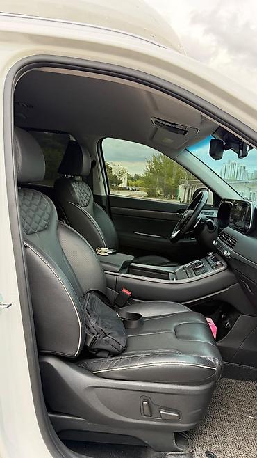 Hyundai: Hyundai Palisade: 2021 г. — 19