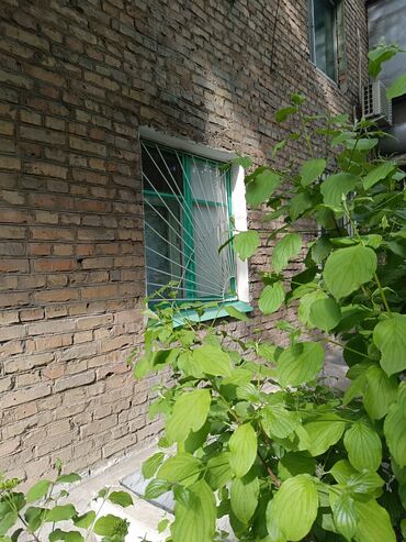 Продажа квартир: 2 комнаты, 45 м², Хрущевка, 1 этаж, Косметический ремонт — 15