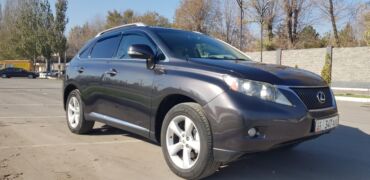 Lexus: Lexus RX: 2010 г., 3.5 л, Автомат, Бензин, Кроссовер — 2