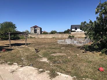Torpaq sahələrinin satışı: Tikinti -da lalafo.az — 8 Torpaq sahələrinin satışı: Tikinti — 8