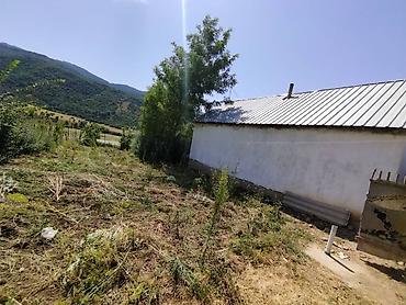 Продажа коттеджей и домов: Продаётся дом город Джалал Абад район Базар коргон село Кок Алма с — 14