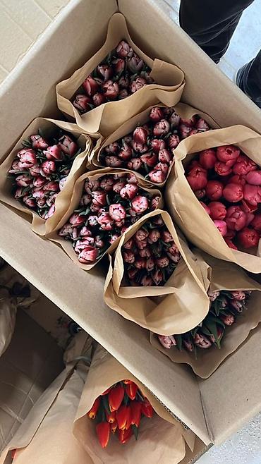 Букеты из живых цветов: Тюльпаны в букете-миксе - Срезанные тюльпаны в крафт-упаковке — 5