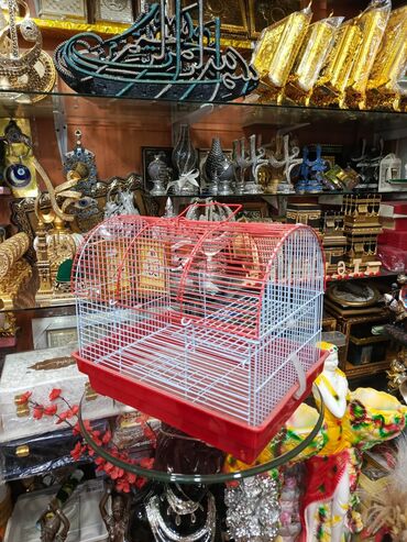 Yemlər: Quş yemləri 1-azn Qırmızı darı topdan 1azn Pərakəndə 1,50azn 1-kq — 28